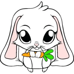 Bunny Face Drawing Art