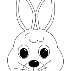 Bunny Face Drawing Hand Drawn