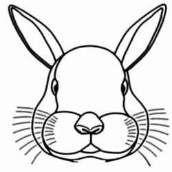 Bunny Face Drawing Modern Sketch