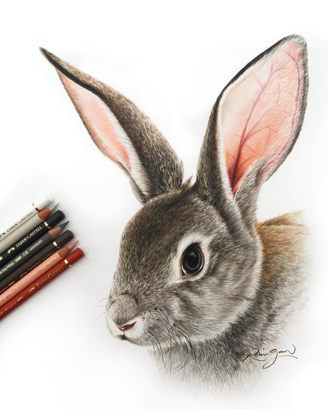 Bunny Rabbit Drawing Hand Drawn Sketch