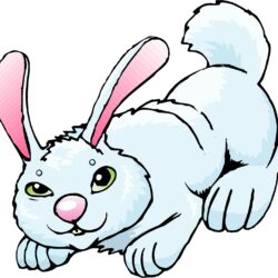 Bunny Rabbit Drawing Image