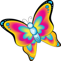 Butterfly Cartoon Drawing Artistic Sketching