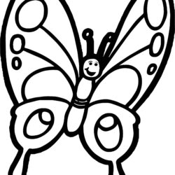 Butterfly Cartoon Drawing Photo