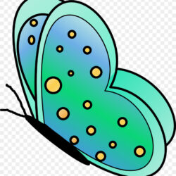 Butterfly Cartoon Drawing Picture