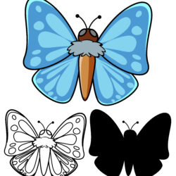 Butterfly Cartoon Drawing Unique Art