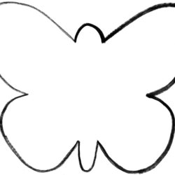 Butterfly Outline Drawing Fine Art