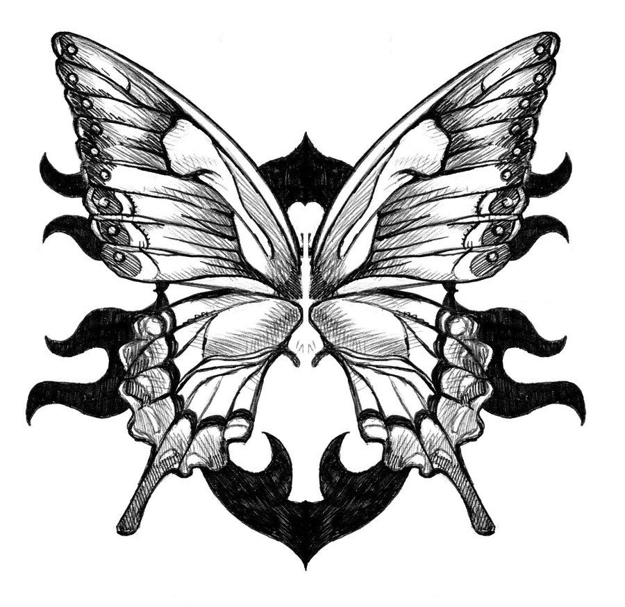 Butterfly Wings Drawing Artistic Sketching