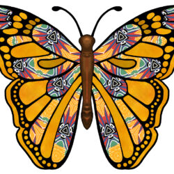 Butterfly Wings Drawing Beautiful Artwork