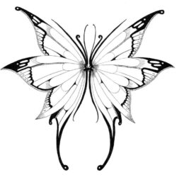 Butterfly Wings Drawing Picture