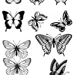 Butterfly Wings Drawing Stunning Sketch