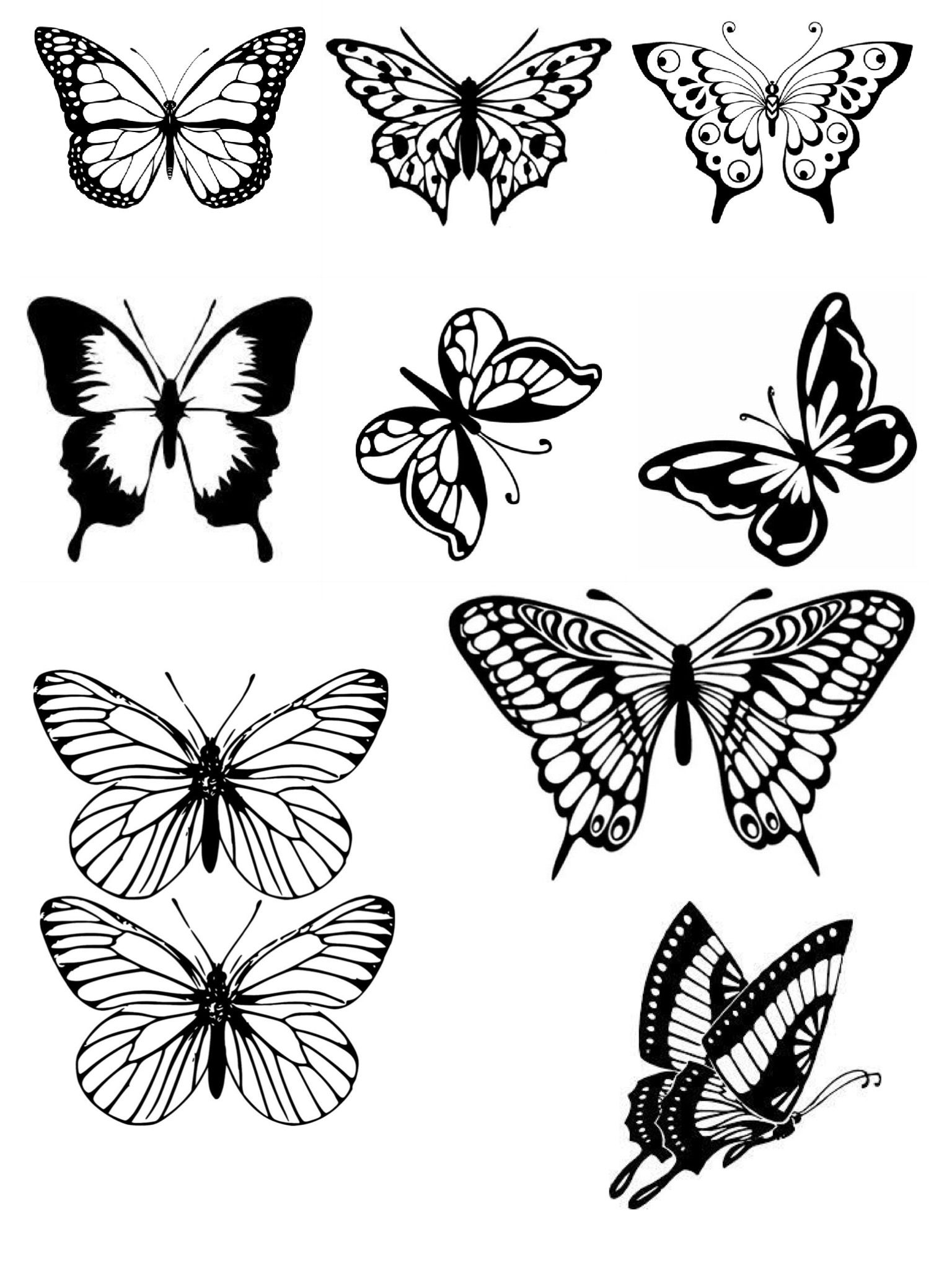 Butterfly Wings Drawing Stunning Sketch