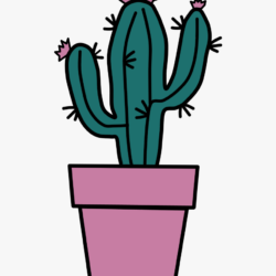 Cactus Drawing