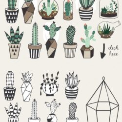 Cactus Drawing Amazing Sketch