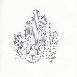 Cactus Drawing Unique Art