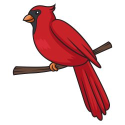 Cardinal Drawing Creative Style