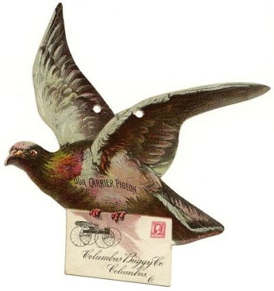 Carrier Pigeon, Homing Aviary, Communication Flight, Messenger Bird, Avian Courier Drawing