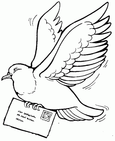 Carrier Pigeon, Homing Ability, Feathered Messenger, Aviary Communication, Message Delivery Drawing