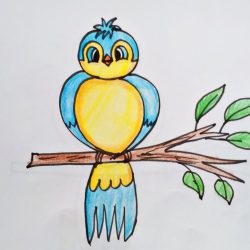 Cartoon Bird Drawing Fine Art