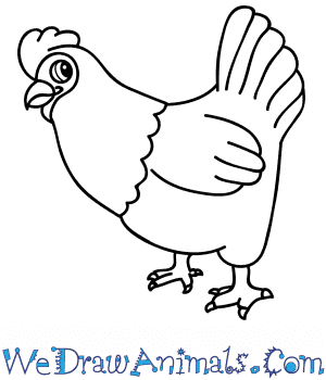 Cartoon Chicken Drawing Art