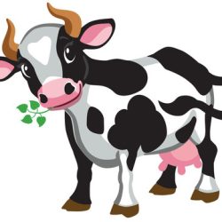 Cartoon Cow Drawing