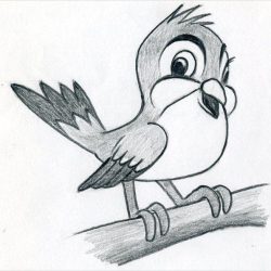 Cartoon Drawing Sketch