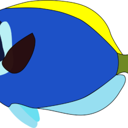 Cartoon Fish Drawing