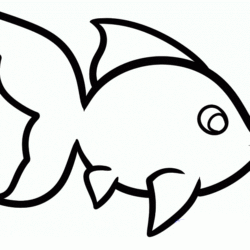 Cartoon Fish Drawing Artistic Sketching