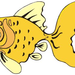 Cartoon Fish Drawing Creative Style