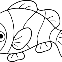 Cartoon Fish Drawing Image