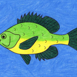 Cartoon Fish Drawing Intricate Artwork