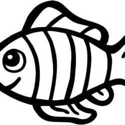 Cartoon Fish Drawing Picture