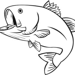 Cartoon Fish Drawing Stunning Sketch