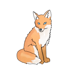 Cartoon Fox Drawing Artistic Sketching