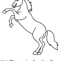 Cartoon Horse Drawing Art