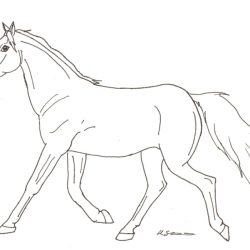 Cartoon Horse Drawing Intricate Artwork