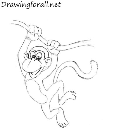 Cartoon Monkey, Whimsical Ape, Colorful Simian, Animated Primate, Playful Chimp Drawing