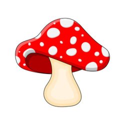 Cartoon Mushroom Drawing Modern Sketch