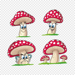 Cartoon Mushroom Drawing Realistic Sketch