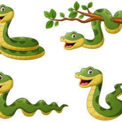 Cartoon Snake Drawing Modern Sketch