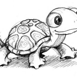 Cartoon Turtle Drawing Art