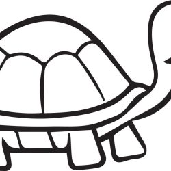 Cartoon Turtle Drawing Intricate Artwork