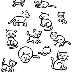 Cat Drawing Photo