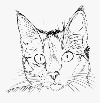 Cat Line, Whisker Network, Feline Connection, Kitty Route, Purr Path Drawing