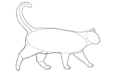 Cat Line, Whisker Path, Purr Route, Feline Connection, Meow Way Drawing