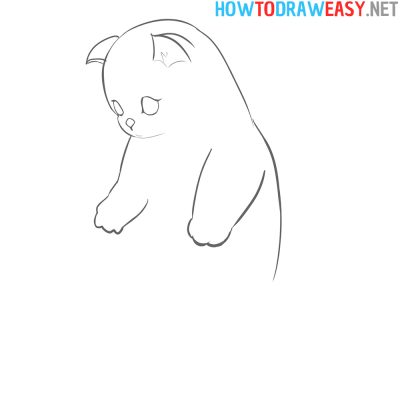 Cat Line, Feline Path, Whisker Route, Purr Trail, Kitty Way Drawing