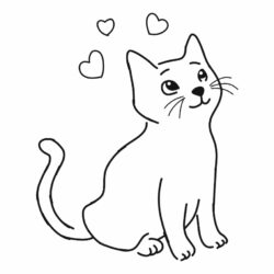 Cat Outline Drawing