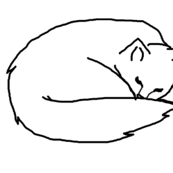 Cat Outline Drawing Hand Drawn