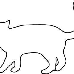 Cat Outline Drawing Modern Sketch