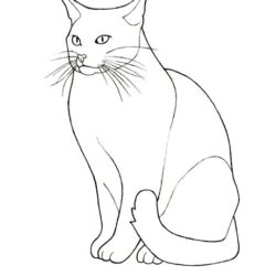 Cat Outline Drawing Unique Art