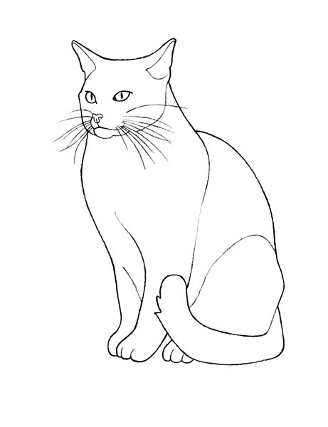 Cat Outline Drawing Unique Art